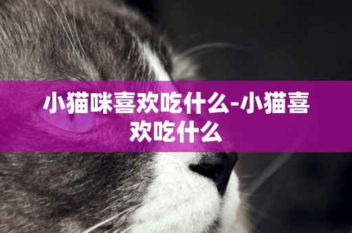 小貓咪喜歡吃什么-小貓喜歡吃什么