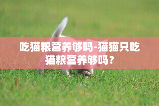 吃貓糧營養夠嗎-貓貓只吃貓糧營養夠嗎？