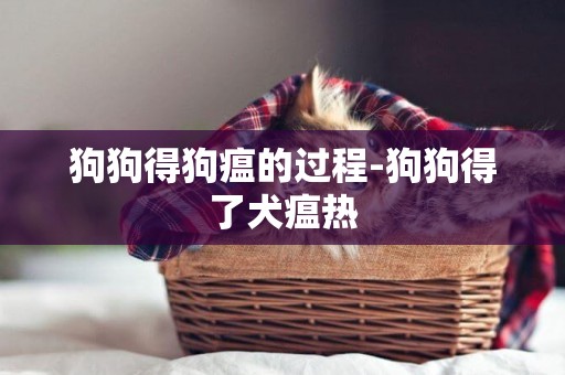狗狗得狗瘟的過程-狗狗得了犬瘟熱