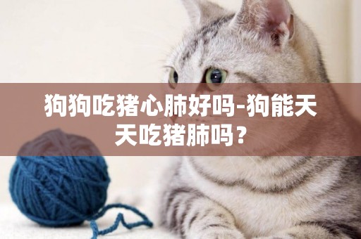 狗狗吃豬心肺好嗎-狗能天天吃豬肺嗎？