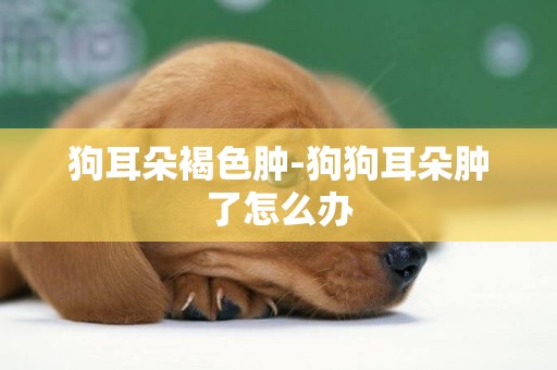 狗耳朵褐色腫-狗狗耳朵腫了怎么辦
