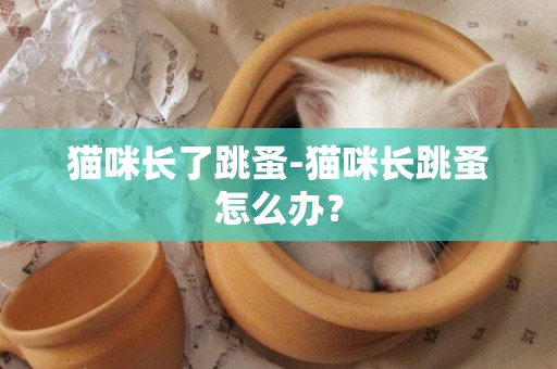 貓咪長了跳蚤-貓咪長跳蚤怎么辦？