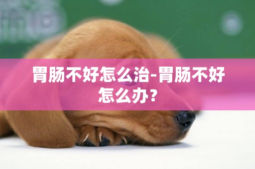 胃腸不好怎么治-胃腸不好怎么辦？