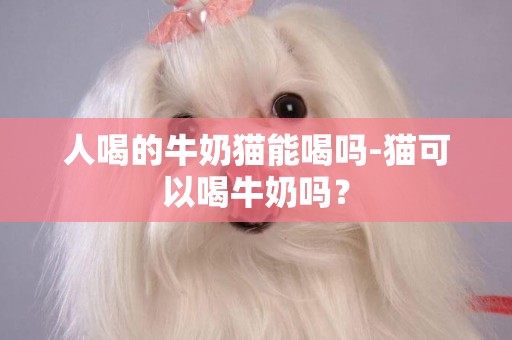 人喝的牛奶貓能喝嗎-貓可以喝牛奶嗎？