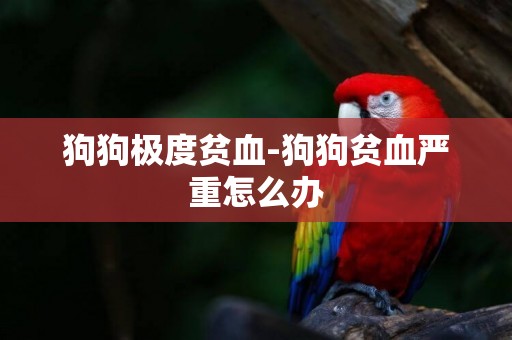 狗狗極度貧血-狗狗貧血嚴重怎么辦