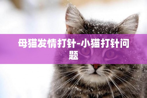 母貓發情打針-小貓打針問題
