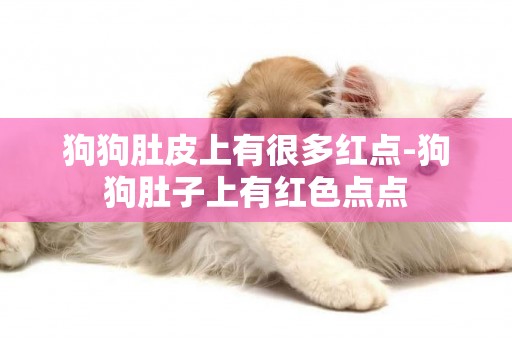 狗狗肚皮上有很多紅點-狗狗肚子上有紅色點點