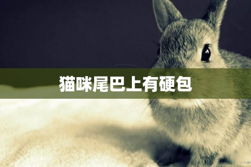 貓咪尾巴上有硬包