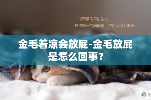 金毛著涼會放屁-金毛放屁是怎么回事？