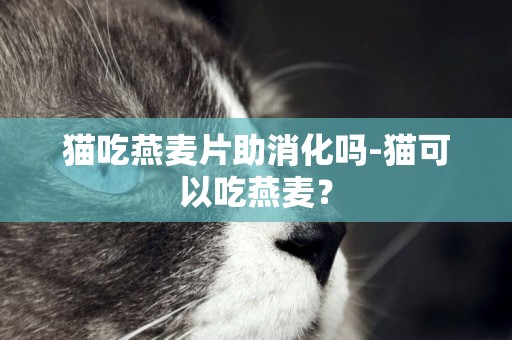 貓吃燕麥片助消化嗎-貓可以吃燕麥？