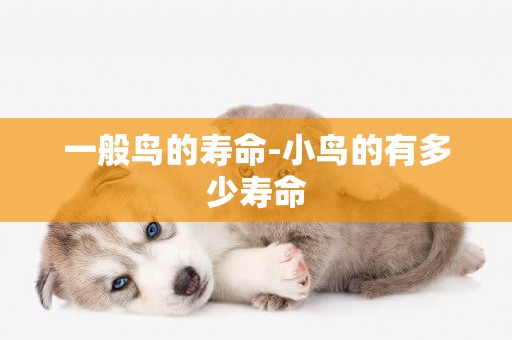 一般鳥的壽命-小鳥的有多少壽命