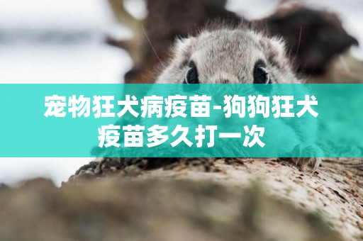寵物狂犬病疫苗-狗狗狂犬疫苗多久打一次