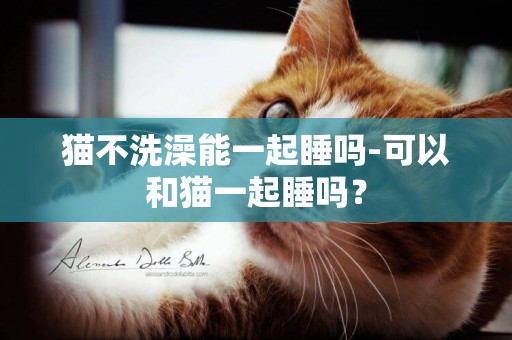 貓不洗澡能一起睡嗎-可以和貓一起睡嗎？