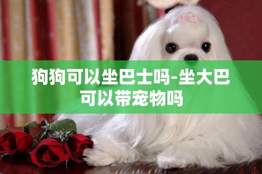 狗狗可以坐巴士嗎-坐大巴可以帶寵物嗎