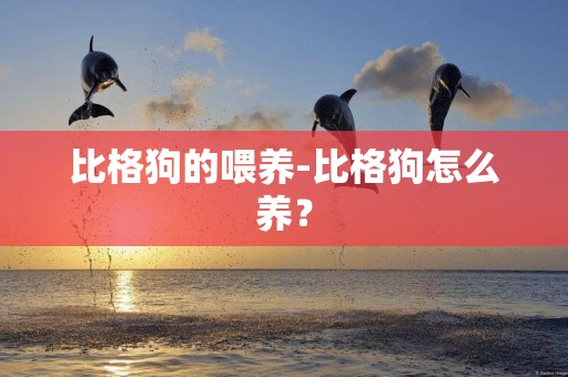 比格狗的喂養-比格狗怎么養？