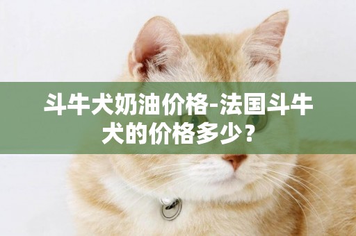 斗牛犬奶油價格-法國斗牛犬的價格多少？