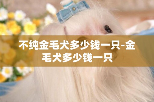 不純金毛犬多少錢一只-金毛犬多少錢一只
