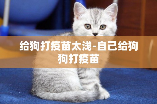 給狗打疫苗太淺-自己給狗狗打疫苗
