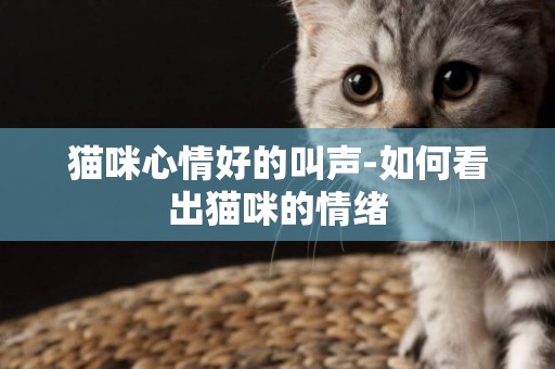 貓咪心情好的叫聲-如何看出貓咪的情緒