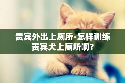 貴賓外出上廁所-怎樣訓練貴賓犬上廁所啊？