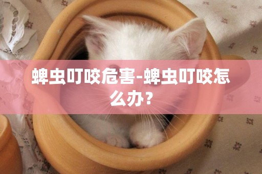 蜱蟲叮咬危害-蜱蟲叮咬怎么辦？