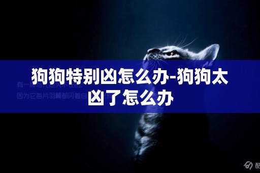 狗狗特別兇怎么辦-狗狗太兇了怎么辦