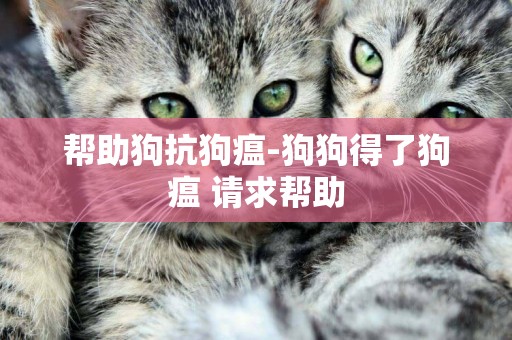 幫助狗抗狗瘟-狗狗得了狗瘟 請求幫助