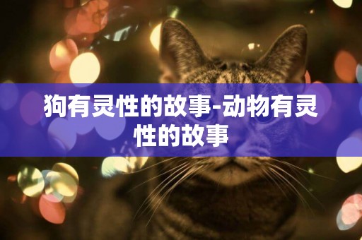 狗有靈性的故事-動物有靈性的故事