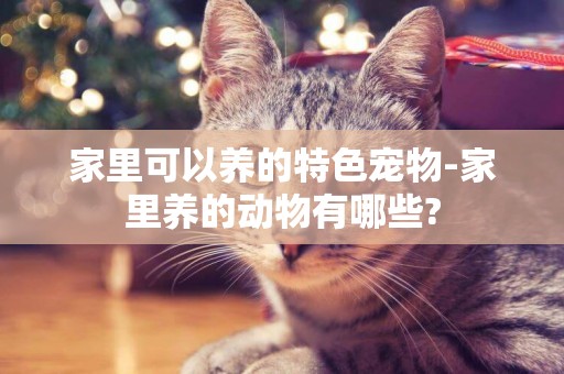 家里可以養的特色寵物-家里養的動物有哪些?