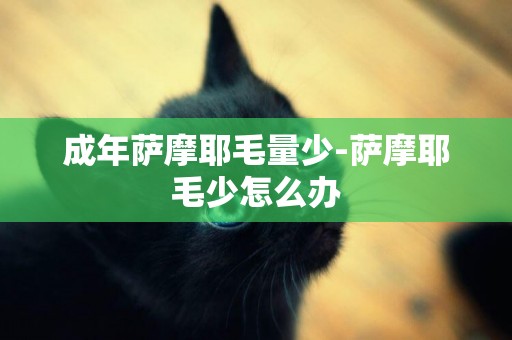 成年薩摩耶毛量少-薩摩耶毛少怎么辦