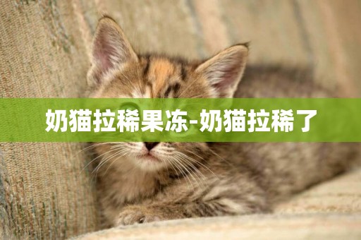 奶貓拉稀果凍-奶貓拉稀了