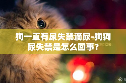 狗一直有尿失禁滴尿-狗狗尿失禁是怎么回事？