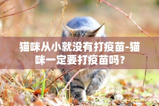 貓咪從小就沒有打疫苗-貓咪一定要打疫苗嗎？