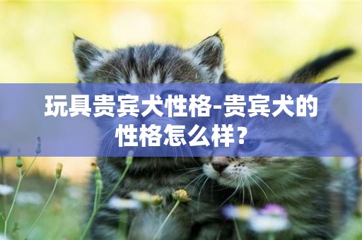 玩具貴賓犬性格-貴賓犬的性格怎么樣？