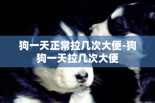 狗一天正常拉幾次大便-狗狗一天拉幾次大便