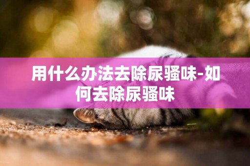 用什么辦法去除尿騷味-如何去除尿騷味