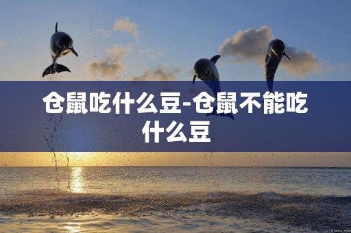 倉鼠吃什么豆-倉鼠不能吃什么豆