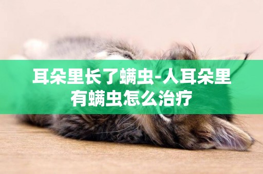 耳朵里長了螨蟲-人耳朵里有螨蟲怎么治療