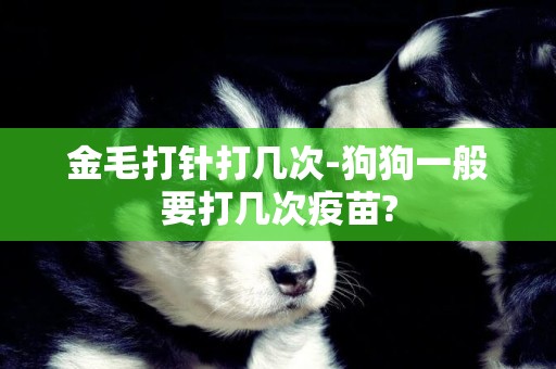 金毛打針打幾次-狗狗一般要打幾次疫苗?