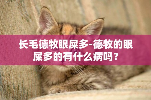 長毛德牧眼屎多-德牧的眼屎多的有什么病嗎？