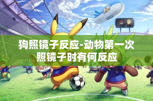 狗照鏡子反應-動物第一次照鏡子時有何反應