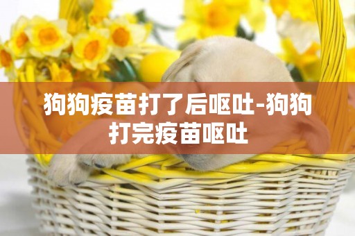 狗狗疫苗打了后嘔吐-狗狗打完疫苗嘔吐