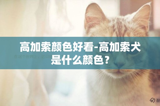 高加索顏色好看-高加索犬是什么顏色？