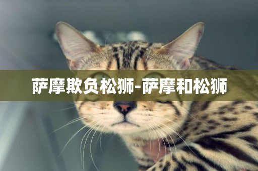 薩摩欺負松獅-薩摩和松獅