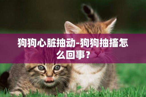 狗狗心臟抽動-狗狗抽搐怎么回事？