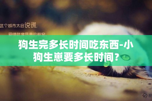 狗生完多長時間吃東西-小狗生崽要多長時間？