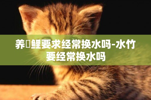 養錦鯉要求經常換水嗎-水竹要經常換水嗎