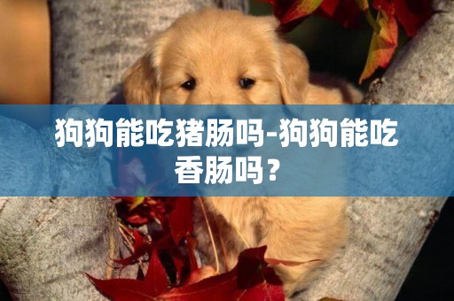 狗狗能吃豬腸嗎-狗狗能吃香腸嗎？