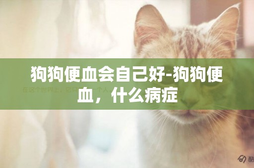 狗狗便血會自己好-狗狗便血，什么病癥