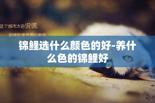 錦鯉選什么顏色的好-養什么色的錦鯉好